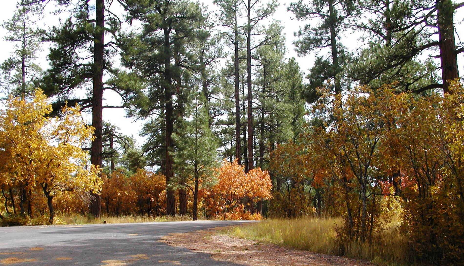 Autumn at the Grand Canyon